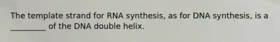 The template strand for RNA synthesis, as for DNA synthesis, is a _________ of the DNA double helix.