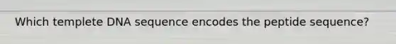 Which templete DNA sequence encodes the peptide sequence?