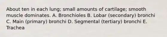 About ten in each lung; small amounts of cartilage; smooth muscle dominates. A. Bronchioles B. Lobar (secondary) bronchi C. Main (primary) bronchi D. Segmental (tertiary) bronchi E. Trachea