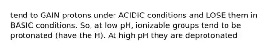 tend to GAIN protons under ACIDIC conditions and LOSE them in BASIC conditions. So, at low pH, ionizable groups tend to be protonated (have the H). At high pH they are deprotonated