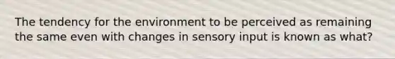 The tendency for the environment to be perceived as remaining the same even with changes in sensory input is known as what?