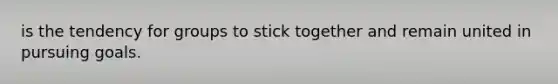 is the tendency for groups to stick together and remain united in pursuing goals.