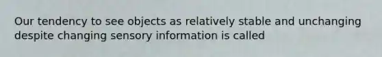 Our tendency to see objects as relatively stable and unchanging despite changing sensory information is called