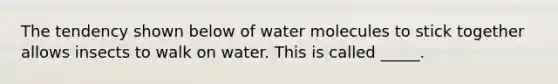 The tendency shown below of water molecules to stick together allows insects to walk on water. This is called _____.