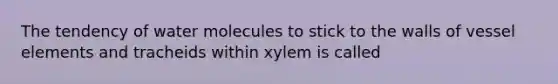 The tendency of water molecules to stick to the walls of vessel elements and tracheids within xylem is called