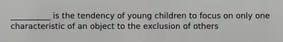 __________ is the tendency of young children to focus on only one characteristic of an object to the exclusion of others