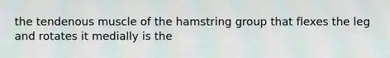 the tendenous muscle of the hamstring group that flexes the leg and rotates it medially is the