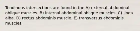 Tendinous intersections are found in the A) external abdominal oblique muscles. B) internal abdominal oblique muscles. C) linea alba. D) rectus abdominis muscle. E) transversus abdominis muscles.