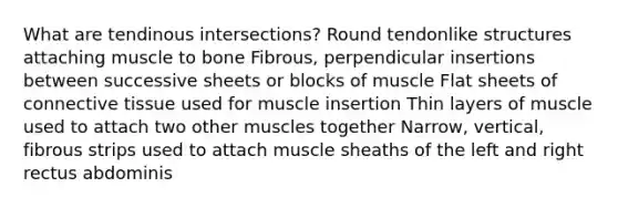 What are tendinous intersections? Round tendonlike structures attaching muscle to bone Fibrous, perpendicular insertions between successive sheets or blocks of muscle Flat sheets of connective tissue used for muscle insertion Thin layers of muscle used to attach two other muscles together Narrow, vertical, fibrous strips used to attach muscle sheaths of the left and right rectus abdominis