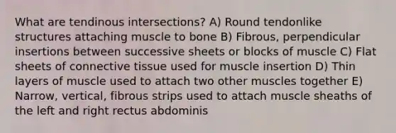 What are tendinous intersections? A) Round tendonlike structures attaching muscle to bone B) Fibrous, perpendicular insertions between successive sheets or blocks of muscle C) Flat sheets of connective tissue used for muscle insertion D) Thin layers of muscle used to attach two other muscles together E) Narrow, vertical, fibrous strips used to attach muscle sheaths of the left and right rectus abdominis