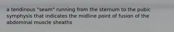 a tendinous "seam" running from the sternum to the pubic symphysis that indicates the midline point of fusion of the abdominal muscle sheaths