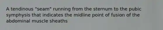 A tendinous "seam" running from the sternum to the pubic symphysis that indicates the midline point of fusion of the abdominal muscle sheaths