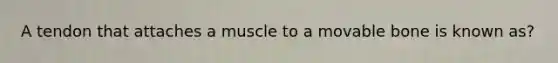 A tendon that attaches a muscle to a movable bone is known as?