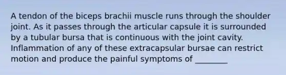 A tendon of the biceps brachii muscle runs through the shoulder joint. As it passes through the articular capsule it is surrounded by a tubular bursa that is continuous with the joint cavity. Inflammation of any of these extracapsular bursae can restrict motion and produce the painful symptoms of ________