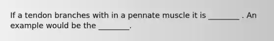 If a tendon branches with in a pennate muscle it is ________ . An example would be the ________.