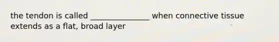 the tendon is called _______________ when connective tissue extends as a flat, broad layer