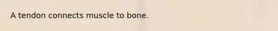 A tendon connects muscle to bone.