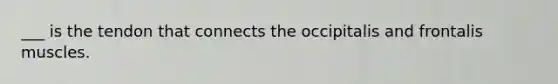 ___ is the tendon that connects the occipitalis and frontalis muscles.