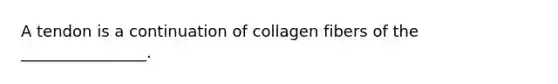 A tendon is a continuation of collagen fibers of the ________________.