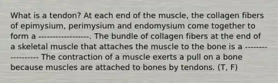 What is a tendon? At each end of the muscle, the collagen fibers of epimysium, perimysium and endomysium come together to form a ------------------. The bundle of collagen fibers at the end of a skeletal muscle that attaches the muscle to the bone is a ------------------ The contraction of a muscle exerts a pull on a bone because muscles are attached to bones by tendons. (T, F)