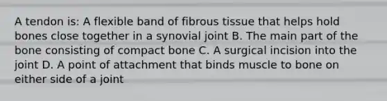 A tendon is: A flexible band of fibrous tissue that helps hold bones close together in a synovial joint B. The main part of the bone consisting of compact bone C. A surgical incision into the joint D. A point of attachment that binds muscle to bone on either side of a joint