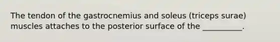 The tendon of the gastrocnemius and soleus (triceps surae) muscles attaches to the posterior surface of the __________.