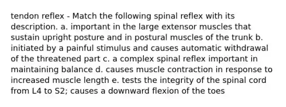 tendon reflex - Match the following spinal reflex with its description. a. important in the large extensor muscles that sustain upright posture and in postural muscles of the trunk b. initiated by a painful stimulus and causes automatic withdrawal of the threatened part c. a complex spinal reflex important in maintaining balance d. causes <a href='https://www.questionai.com/knowledge/k0LBwLeEer-muscle-contraction' class='anchor-knowledge'>muscle contraction</a> in response to increased muscle length e. tests the integrity of <a href='https://www.questionai.com/knowledge/kkAfzcJHuZ-the-spinal-cord' class='anchor-knowledge'>the spinal cord</a> from L4 to S2; causes a downward flexion of the toes