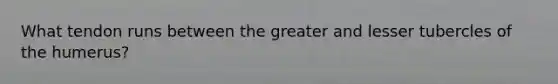What tendon runs between the greater and lesser tubercles of the humerus?