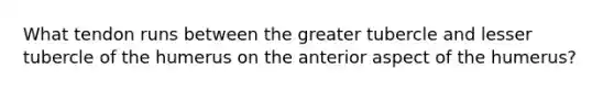 What tendon runs between the greater tubercle and lesser tubercle of the humerus on the anterior aspect of the humerus?