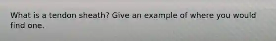 What is a tendon sheath? Give an example of where you would find one.