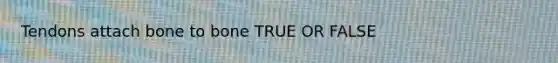 Tendons attach bone to bone TRUE OR FALSE