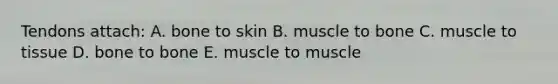 Tendons attach: A. bone to skin B. muscle to bone C. muscle to tissue D. bone to bone E. muscle to muscle