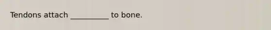 Tendons attach __________ to bone.