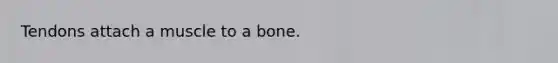 Tendons attach a muscle to a bone.