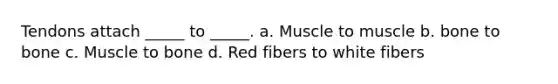 Tendons attach _____ to _____. a. Muscle to muscle b. bone to bone c. Muscle to bone d. Red fibers to white fibers