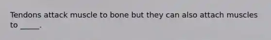 Tendons attack muscle to bone but they can also attach muscles to _____.