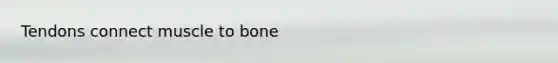 Tendons connect muscle to bone