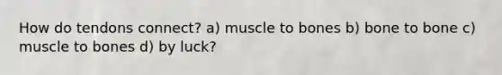 How do tendons connect? a) muscle to bones b) bone to bone c) muscle to bones d) by luck?