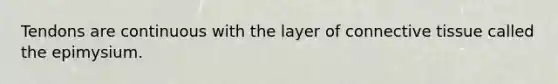 Tendons are continuous with the layer of connective tissue called the epimysium.