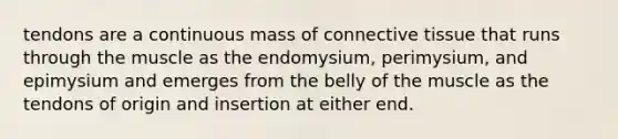 tendons are a continuous mass of connective tissue that runs through the muscle as the endomysium, perimysium, and epimysium and emerges from the belly of the muscle as the tendons of origin and insertion at either end.