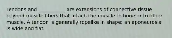 Tendons and ___________ are extensions of connective tissue beyond muscle fibers that attach the muscle to bone or to other muscle. A tendon is generally ropelike in shape; an aponeurosis is wide and flat.