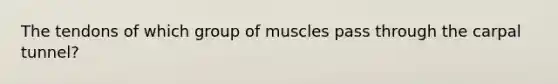 The tendons of which group of muscles pass through the carpal tunnel?