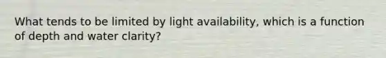 What tends to be limited by light availability, which is a function of depth and water clarity?