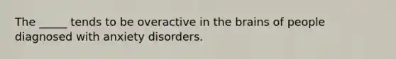 The _____ tends to be overactive in <a href='https://www.questionai.com/knowledge/kLMtJeqKp6-the-brain' class='anchor-knowledge'>the brain</a>s of people diagnosed with anxiety disorders.