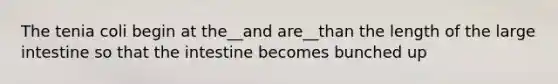 The tenia coli begin at the__and are__than the length of the large intestine so that the intestine becomes bunched up
