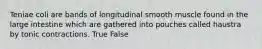 Teniae coli are bands of longitudinal smooth muscle found in the large intestine which are gathered into pouches called haustra by tonic contractions. True False