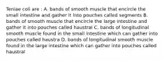 Teniae coli are : A. bands of smooth muscle that encircle the small intestine and gather it into pouches called segments B. bands of smooth muscle that encircle the large intestine and gather it into pouches called haustral C. bands of longitudinal smooth muscle found in the small intestine which can gather into pouches called haustra D. bands of longitudinal smooth muscle found in the large intestine which can gather into pouches called haustral