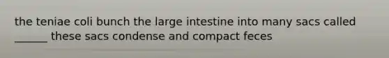 the teniae coli bunch the <a href='https://www.questionai.com/knowledge/kGQjby07OK-large-intestine' class='anchor-knowledge'>large intestine</a> into many sacs called ______ these sacs condense and compact feces
