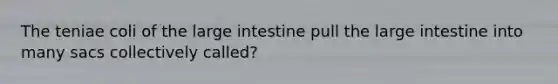 The teniae coli of the <a href='https://www.questionai.com/knowledge/kGQjby07OK-large-intestine' class='anchor-knowledge'>large intestine</a> pull the large intestine into many sacs collectively called?