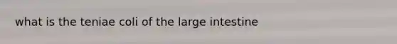 what is the teniae coli of the large intestine